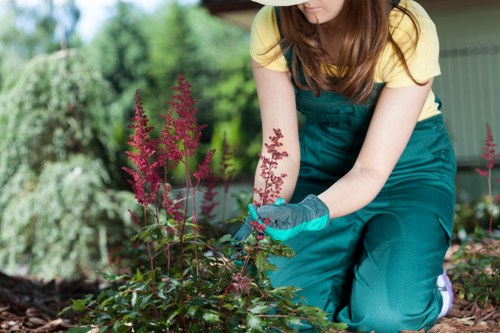 Supervisor inspecting a garden to investigate a customer's concern